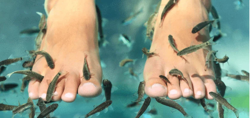 Fish pedicure: cos'è e quali sono i benefici