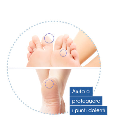 Cerotti Paracalli in Lattice Scholl - Protezione